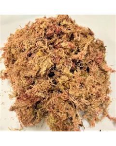MUSGO 50G NATURAL