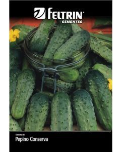 Semente Pepino Wisconsin  - Econômica