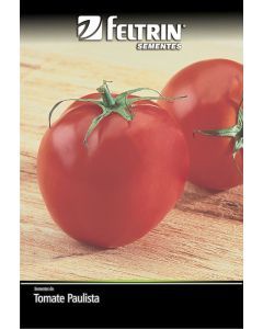 Semente Tomate Santa Clara - Econômica